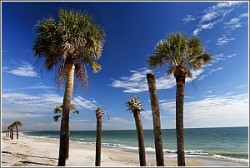 Edisto Beach State Park - Charleston County S.C. 